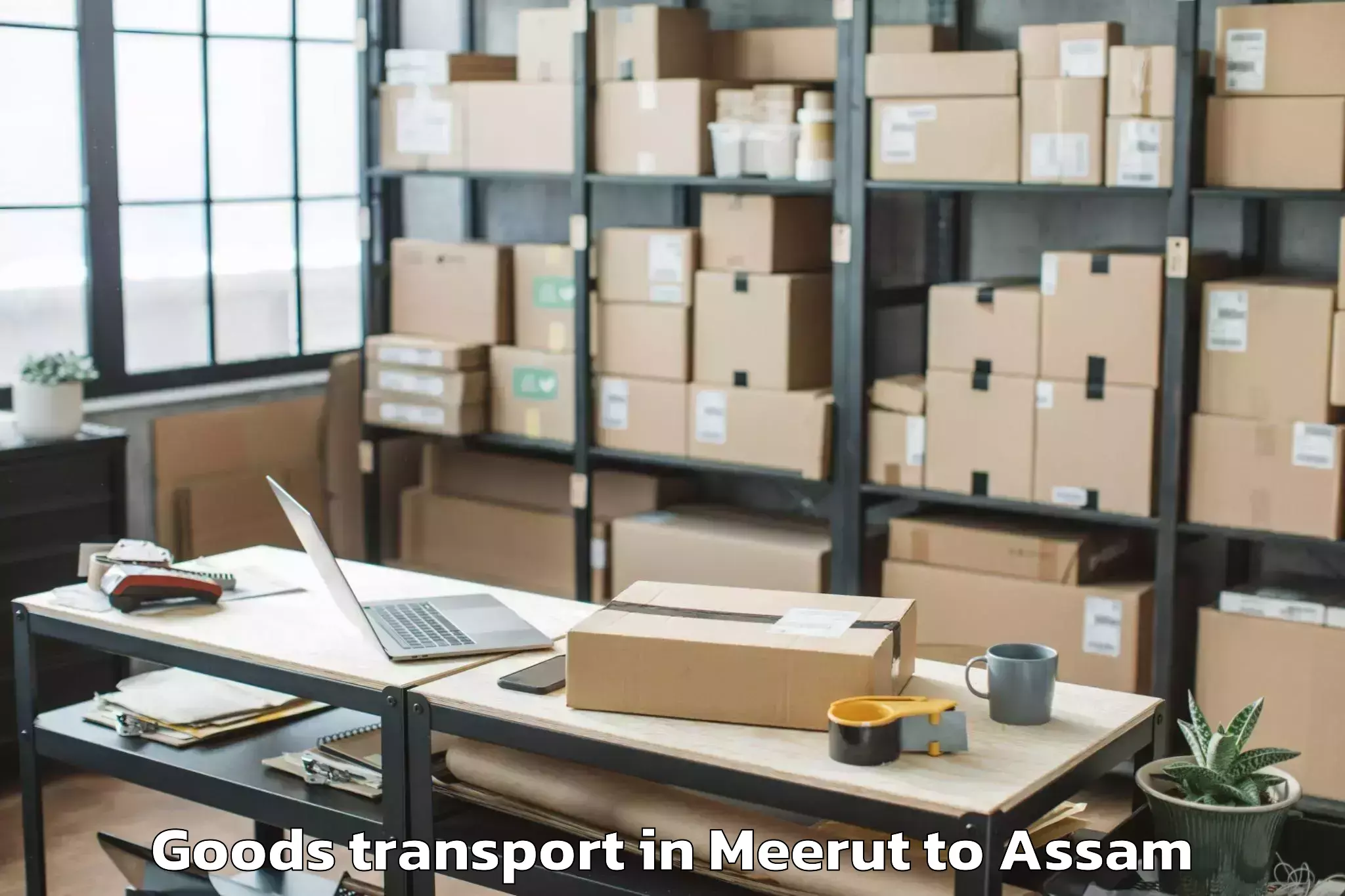 Book Meerut to Silchar Goods Transport